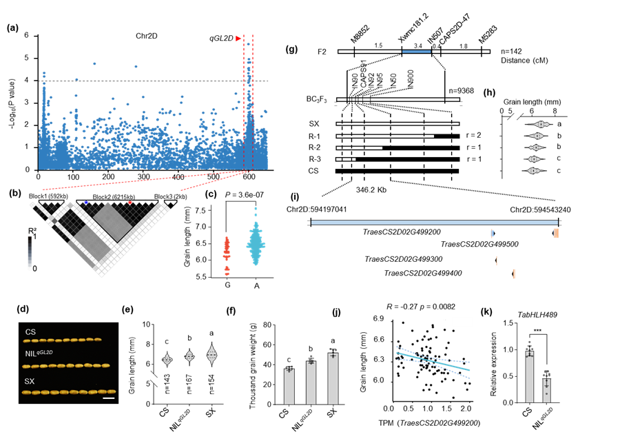 8BA0B2283B0E3A8520419D69531_9B243546_387D4.png