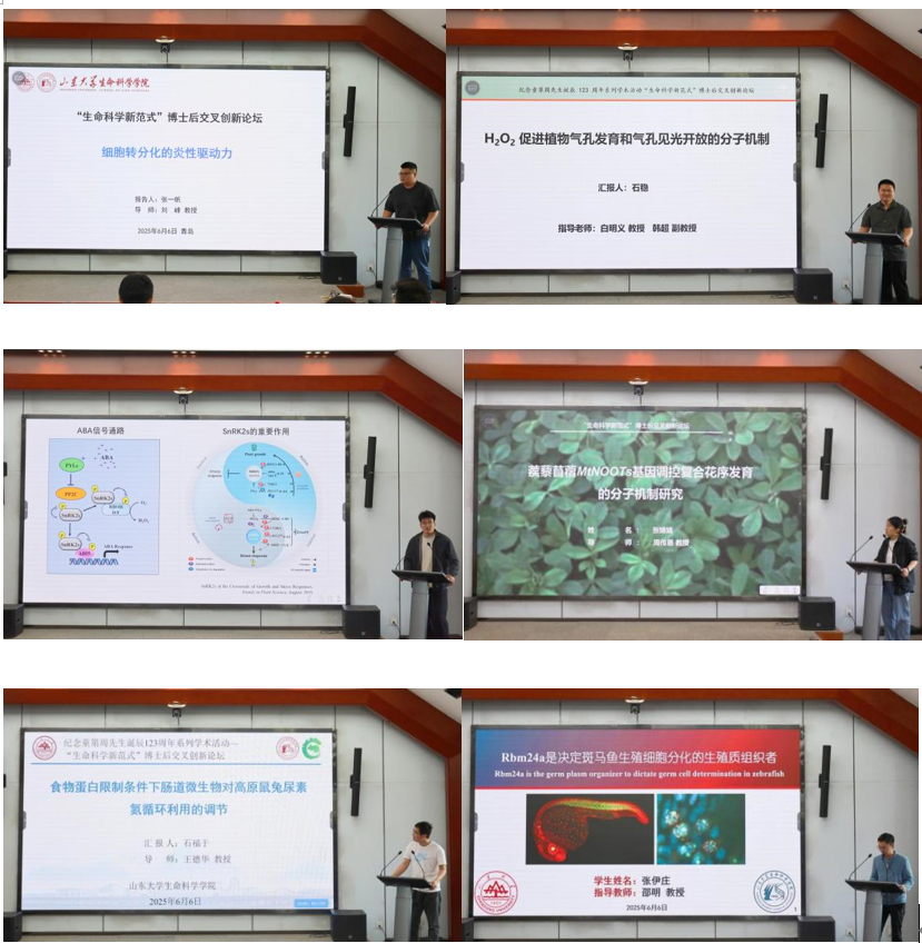 屏幕截图 2025-06-06 171459.png
